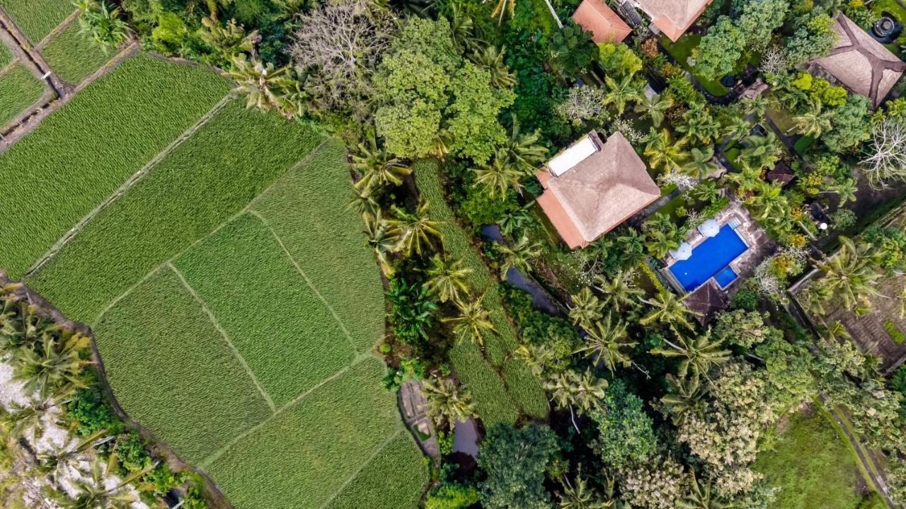 Alam Shanti Resort Ubud